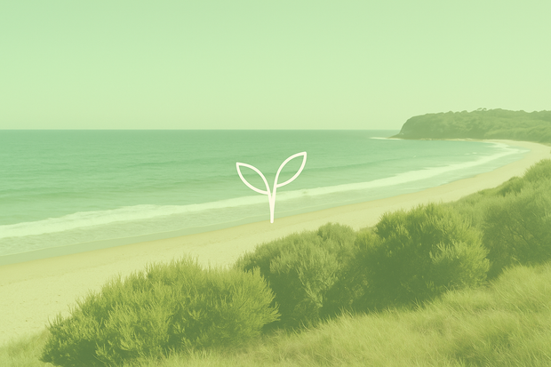 Sustainability commitments 🌱